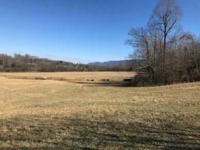 Hiwassee River Lot For Sale in Delano Tennessee