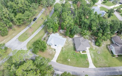 Lovely home on a corner lot in a 55+community. This home offers - photo 24