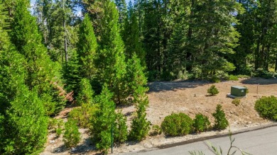 Lake Lot For Sale in Shaver Lake, California