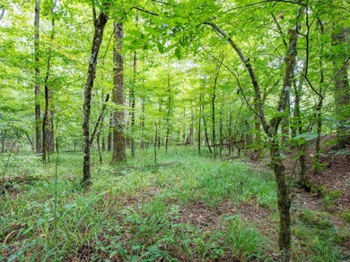Lake Pinedo Acreage For Sale in Hot Springs Village Arkansas