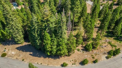 Lake Lot For Sale in Shaver Lake, California