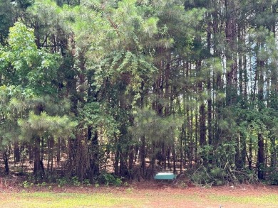 Lake Lot For Sale in Fairburn, Georgia