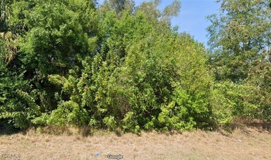 Lehigh Acres Area Lot For Sale in Lehigh Acres Florida