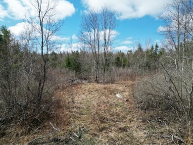 Spacious 22-acre parcel located on Merriman Road in the quiet - photo 11