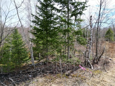 Spacious 22-acre parcel located on Merriman Road in the quiet - photo 13