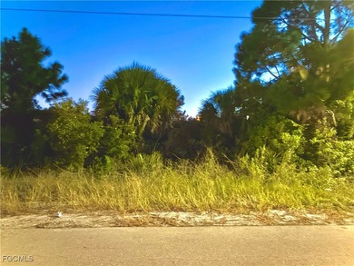 Lehigh Acres Area Lot For Sale in Lehigh Acres Florida