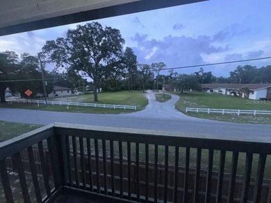 Resort-Inspired Living in a Prime Tampa Location! Nestled within - photo 2