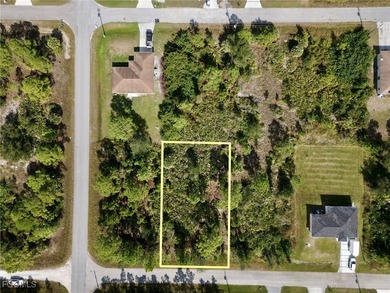 Lehigh Acres Area Lot For Sale in Lehigh Acres Florida