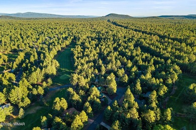 Experience mountain luxury and serene golf course living in this - photo 46