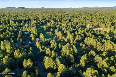 Experience mountain luxury and serene golf course living in this - photo 47