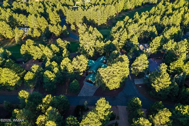 Experience mountain luxury and serene golf course living in this - photo 48