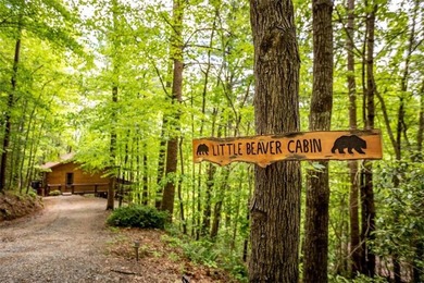 Cherry Log Lake Home For Sale in Cherry Log Georgia