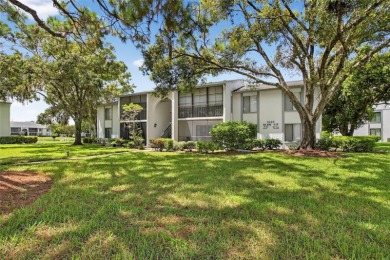 Lake Condo For Sale in Tarpon Springs, Florida