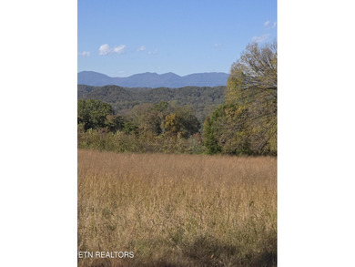 Lake Acreage For Sale in Knoxville, Tennessee