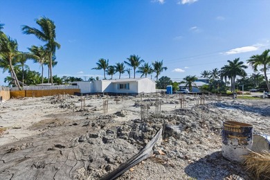 Experience the rare opportunity to own a brand-new waterfront - photo 10