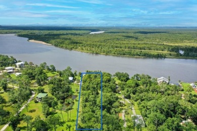 (private lake, pond, creek) Lot For Sale in Apalachicola Florida