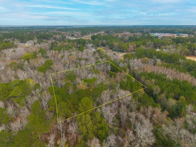 Two residential parcels -- 1.27 acres (TMS 142-05-00-014) and 0 - photo 20