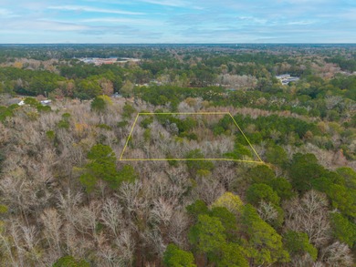 Two residential parcels -- 1.27 acres (TMS 142-05-00-014) and 0 - photo 21