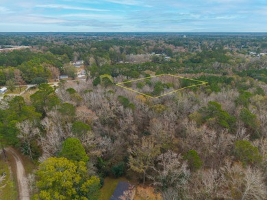 Two residential parcels -- 1.27 acres (TMS 142-05-00-014) and 0 - photo 22