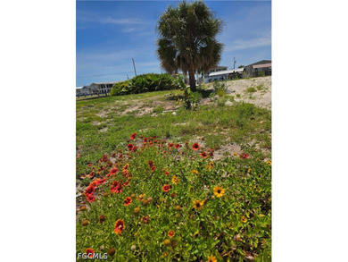 Experience the dream of living on a sub-tropical island with - photo 4