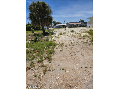 Experience the dream of living on a sub-tropical island with - photo 5