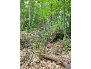 Highland Lake Lot For Sale in Stoddard New Hampshire
