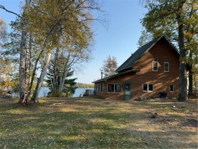 Birch Lake - Hackensack County Home For Sale in Hackensack Minnesota