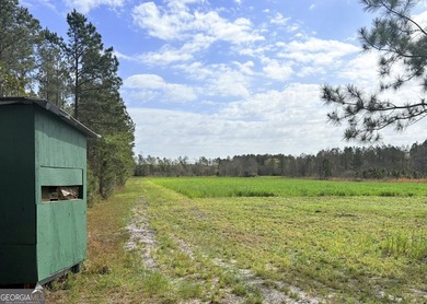 Magnolia Pines is a truly rare offering - 1,264 contiguous acres - photo 21