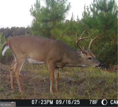 Magnolia Pines is a truly rare offering - 1,264 contiguous acres - photo 23