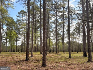 Magnolia Pines is a truly rare offering - 1,264 contiguous acres - photo 26