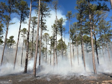 Magnolia Pines is a truly rare offering - 1,264 contiguous acres - photo 27