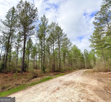 Magnolia Pines is a truly rare offering - 1,264 contiguous acres - photo 29