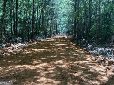 Magnolia Pines is a truly rare offering - 1,264 contiguous acres - photo 30