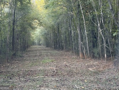 Magnolia Pines is a truly rare offering - 1,264 contiguous acres - photo 31