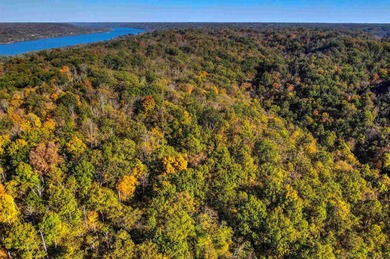 Ohio River - Gallatin County Acreage For Sale in Foster Kentucky
