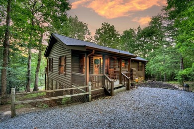 Cherry Log Lake Home Active Under Contract in Cherry Log Georgia