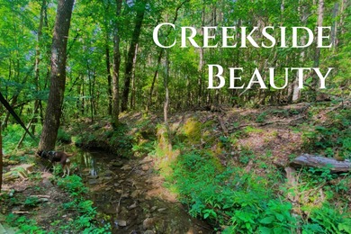 Broken Bow Lake Acreage For Sale in Broken Bow Oklahoma