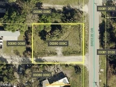 Lowest price corner lot in Suncoast Estates - Prime Location! - photo 1