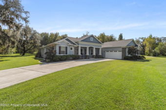 (private lake, pond, creek) Home For Sale in Spring Hill Florida