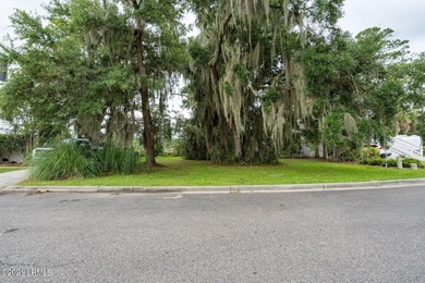 19 acre buildable marsh front lot on Petigru--overlooks the - photo 15