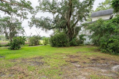 19 acre buildable marsh front lot on Petigru--overlooks the - photo 19