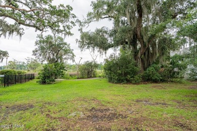 19 acre buildable marsh front lot on Petigru--overlooks the - photo 20