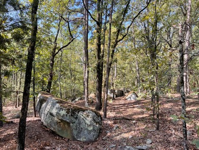 (private lake, pond, creek) Acreage For Sale in Antlers Oklahoma