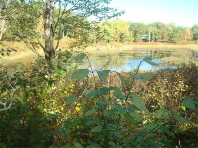 (private lake, pond, creek) Acreage For Sale in Longville Minnesota