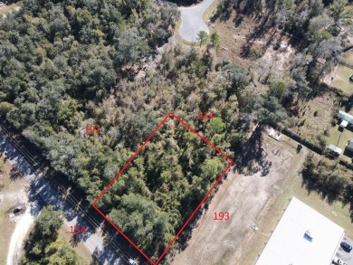 Lake Lot For Sale in Wewahitchka, Florida