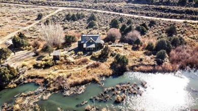 (private lake, pond, creek) Home For Sale in Fort  Garland Colorado