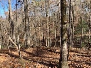 Coosawattee River - Gilmer County Lot For Sale in Ellijay Georgia