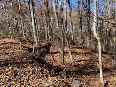 Building lot at Coosawattee River Resort with a seasonal - photo 3
