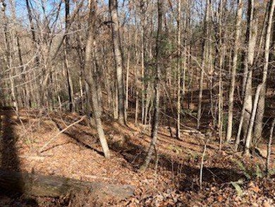 Building lot at Coosawattee River Resort with a seasonal - photo 6