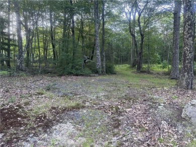 Lake Acreage For Sale in Thompson, New York